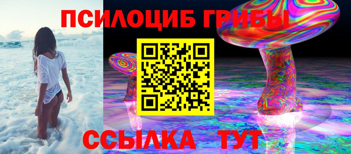 Псилоцибиновые грибы Cubensis Унеча